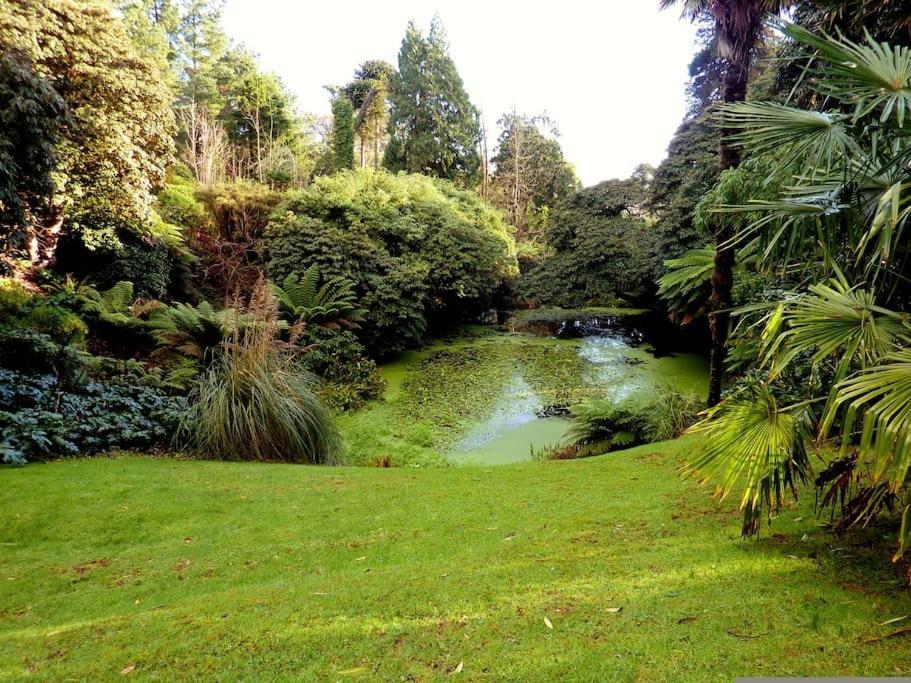 White Eden - Explore Cornwall From A Comfy Central Appartment St Austell Exterior foto
